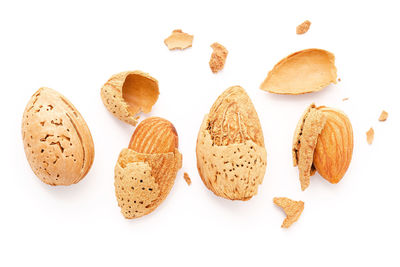 High angle view of cookies against white background