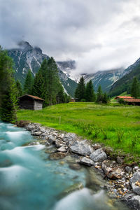 Mountain stream