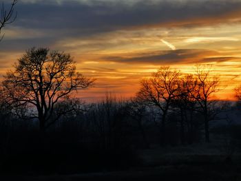 Silhouette bare trees against sky during sunset