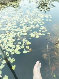 Low section of woman in pond