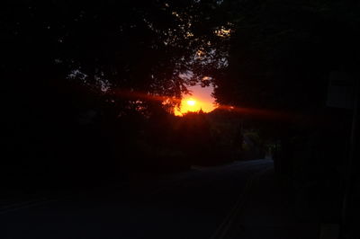 Silhouette of trees at night