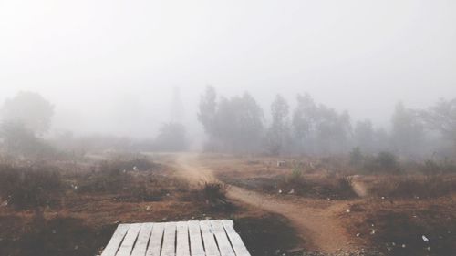Scenic view of trees in foggy weather