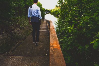 Rear view of a man walking on tree