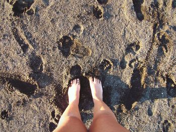 Low section of woman standing on sandy beach