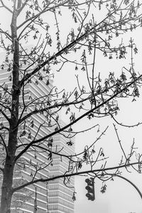 Low angle view of bare tree against sky
