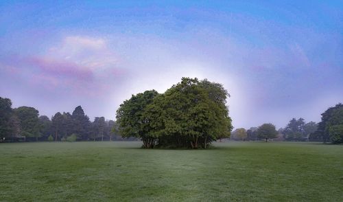 Scenic view of grassy field against cloudy sky