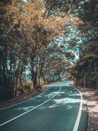 Empty road along trees in forest