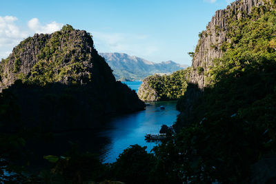 Scenic view of river amidst trees against sky