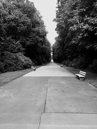 Empty road along trees