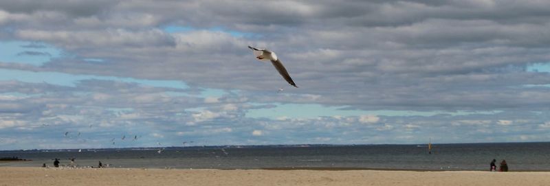 Scenic view of beach against cloudy sky