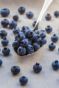 High angle view of berries on table