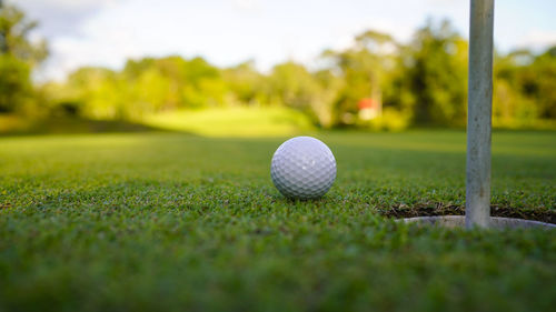 Golf ball on green grass in the evening golf course with sunshine background. 