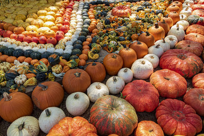 Full frame shot of pumpkins at market stall