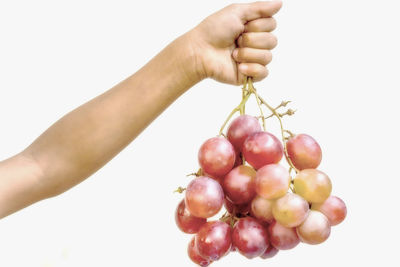 Close-up of hand holding berries over white background