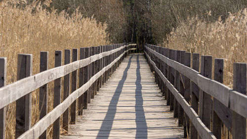 Wooden footbridge on footpath