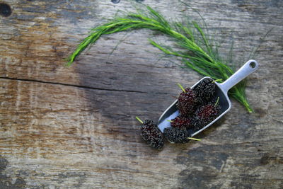 High angle view of fruits on table
