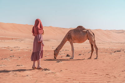 Woman meets dromedary camel.