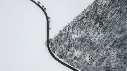 Close-up of snow covered plants against clear sky