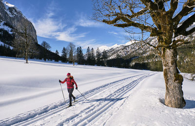 Austria, tirol, riss valley, karwendel, cross country skier in winter landscape