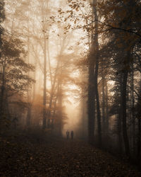 People walking in forest during autumn