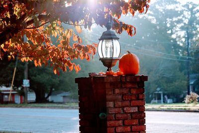 View of orange and red bell tower against trees during autumn