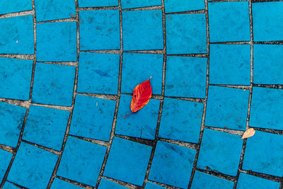 High angle view of autumn leaf on blue tiled floor