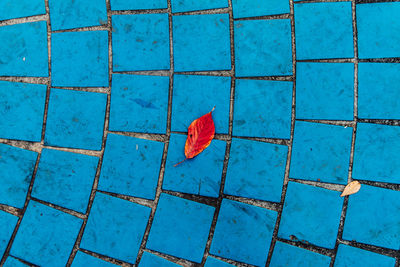 Close up of blue umbrella