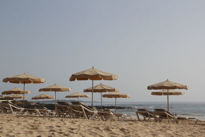 Parasols on beach against sky