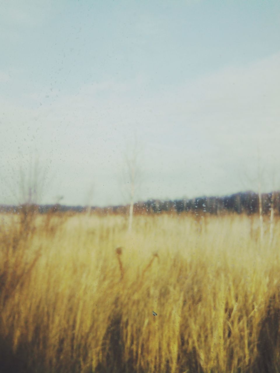 high angle view, weather, day, outdoors, nature, textured, close-up, water, wood - material, season, road, no people, surface level, backgrounds, the way forward, selective focus, reflection, transportation, full frame, tranquility