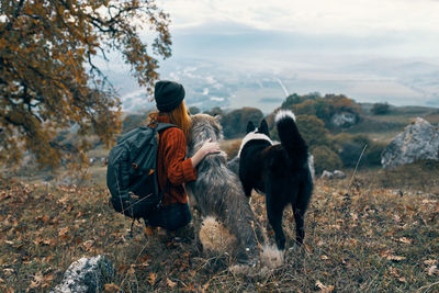 Rear view of dogs on land against sky