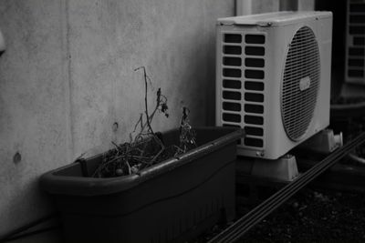 Dry potted plant and air conditioner by wall
