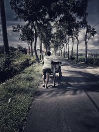 Rear view of man walking on road