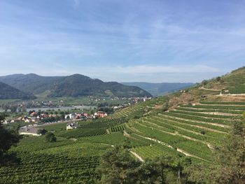 High angle view of rural landscape