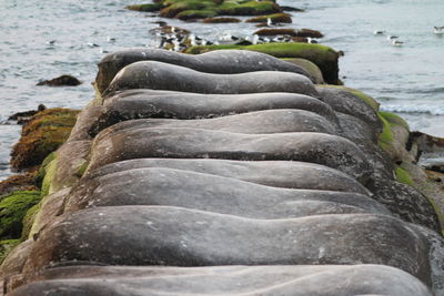 Rocks at sea shore