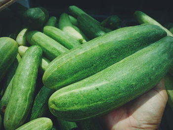 Close-up of hand holding vegetables