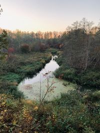 Scenic view of lake in forest against clear sky