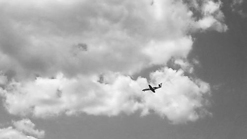 Low angle view of airplane flying in sky