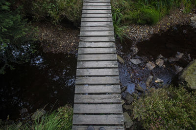 High angle view of staircase amidst trees in forest