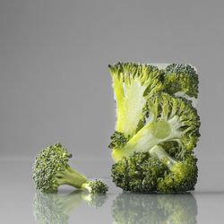 Close-up of broccoli against white background
