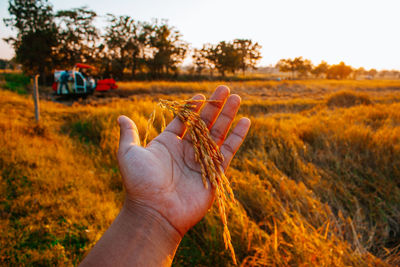 Midsection of person holding umbrella on land against sky