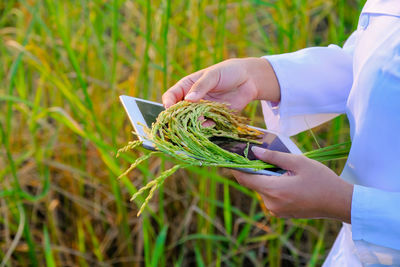 Midsection of person holding leaf on field