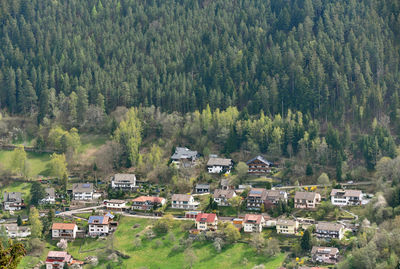 High angle view of trees and houses in village