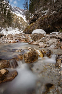 Surface level of stream flowing in forest