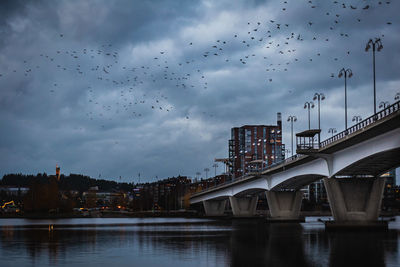 Birds flying over river in city against sky