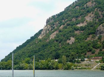 Scenic view of river by tree mountains against sky