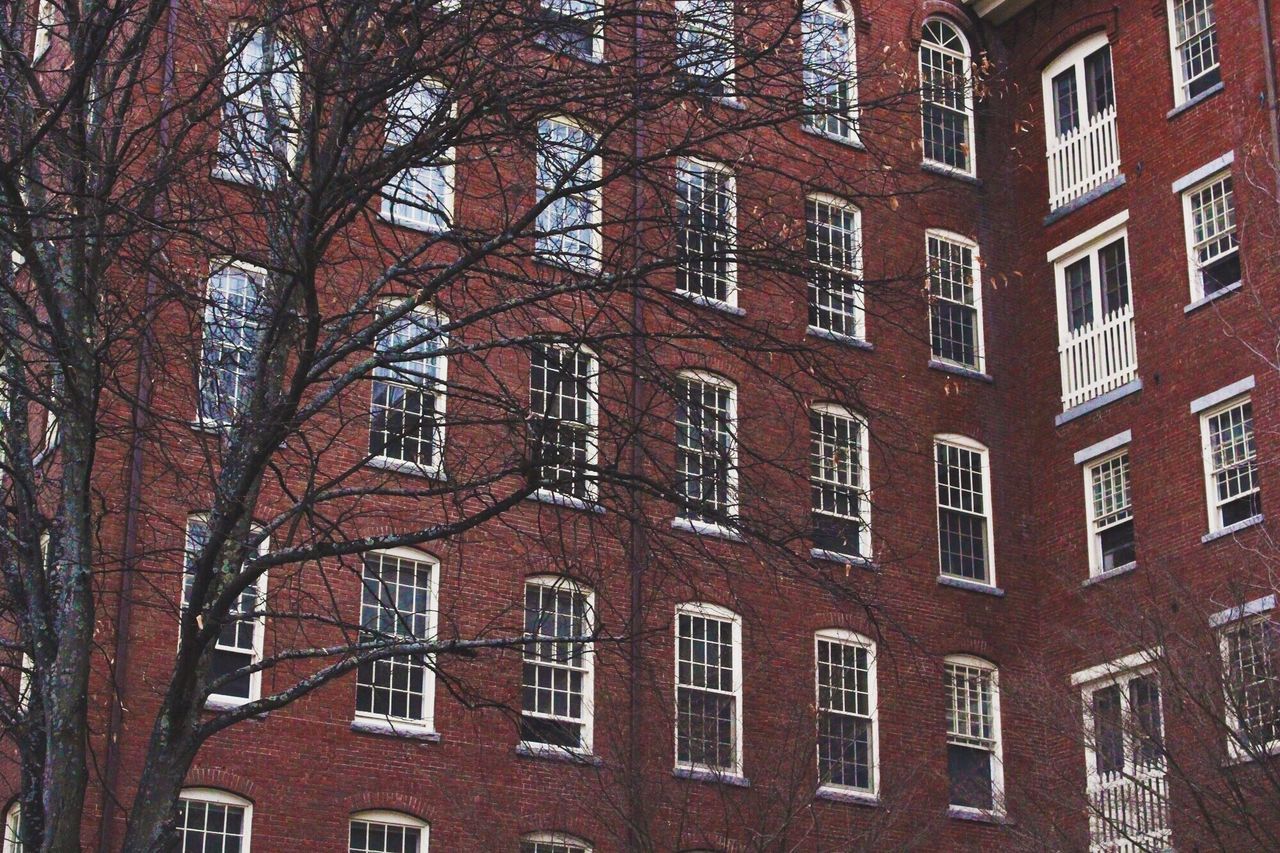 FULL FRAME SHOT OF BUILDING WITH BARE TREE