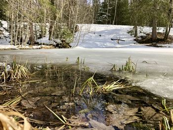 Scenic view of frozen lake during winter