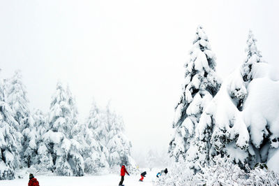 Scenic view of snow covered mountain