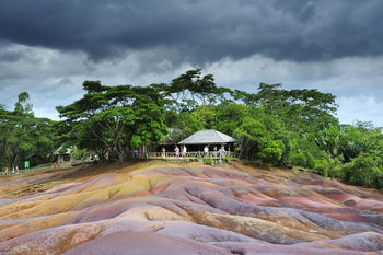 Dramatic landscape by trees growing at tourist resort against cloudy sky