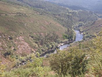 High angle view of river amidst trees